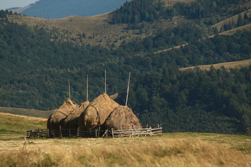 The view from the Cindrel Mountains near Sibiu, Romania. 