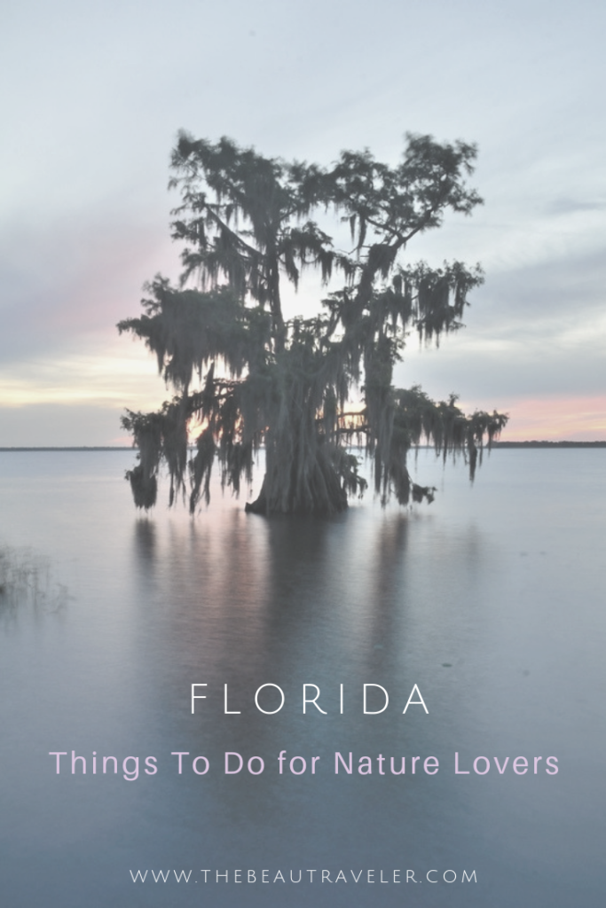 Things To Do in Florida for Nature Lovers - The BeauTraveler