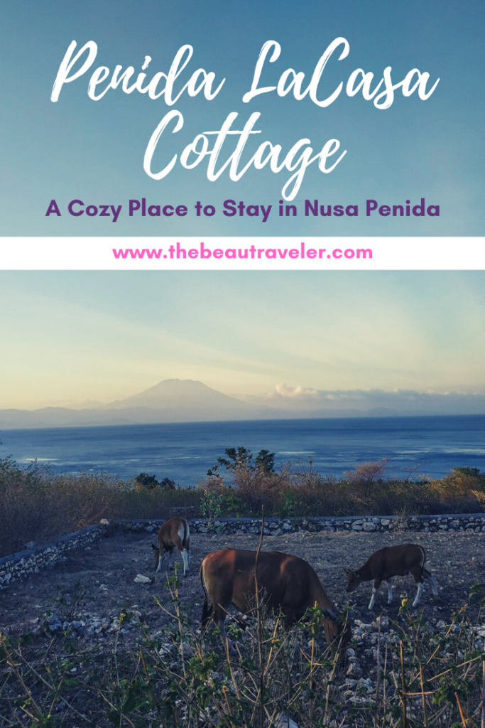 Penida LaCasa Cottage: A Cozy Place to Stay in Nusa Penida, Bali - The BeauTraveler