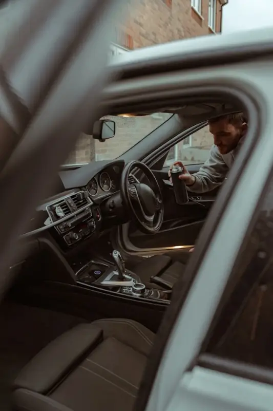 car pest control