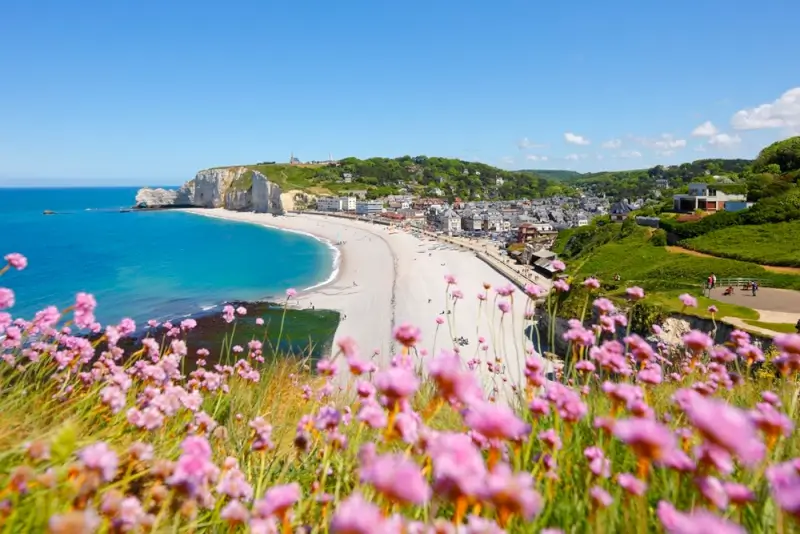 Scenic Normandy coast with pink wildflowers overlooking historic D-Day landing beach and dramatic white cliffs near coastal town
