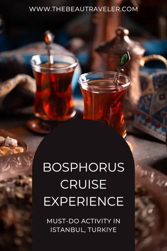 Bosphorus Breakfast Cruise: A Magical Morning Experience in Istanbul - The BeauTraveler