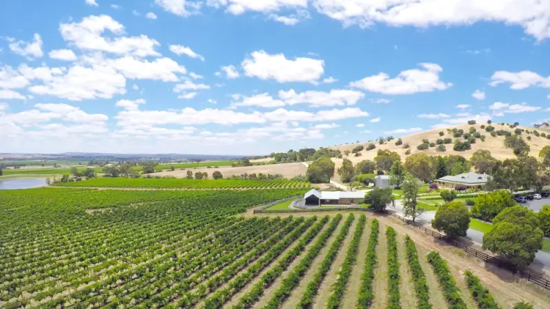 Aerial view of Barossa Valley vineyards near Angaston South Australia with rolling hills and winery buildings