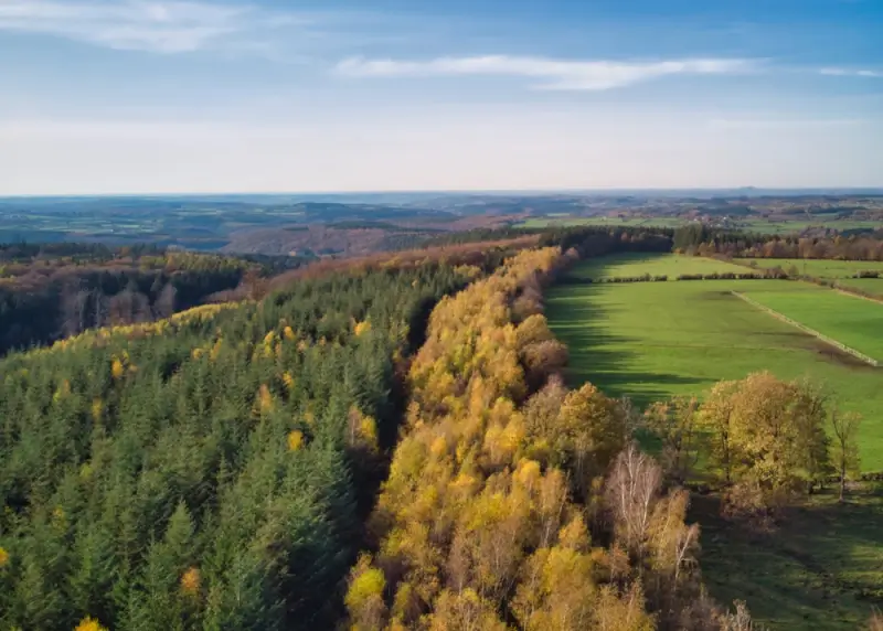 Aerial view of the Belgian Ardennes region showing dense forests, rolling hills, and green fields in autumn colors
