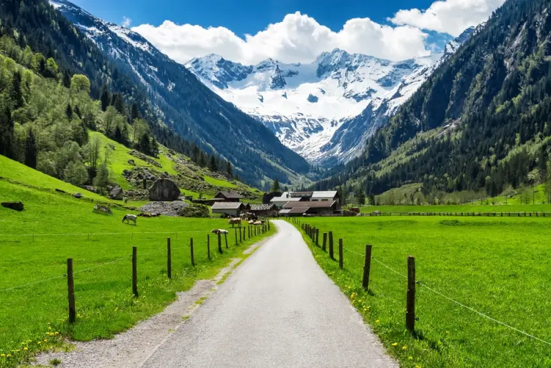 Rural mountain road leading through vibrant green meadows to traditional Alpine farm buildings, with spectacular glacier-capped peaks and dramatic valley walls in the Austrian Alps, Tyrol