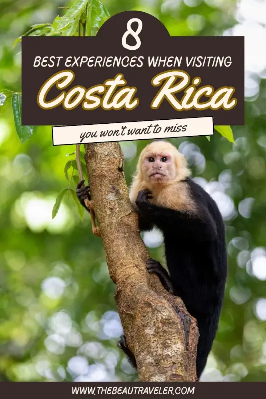 8 Top Destinations to Enrich Your Costa Rica Travel Itinerary - The BeauTraveler