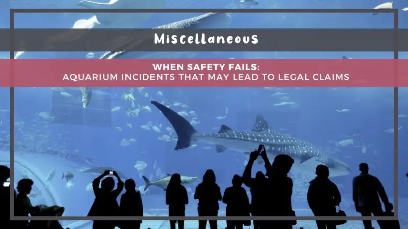 When Safety Fails: Aquarium Incidents That May Lead to Legal Claims