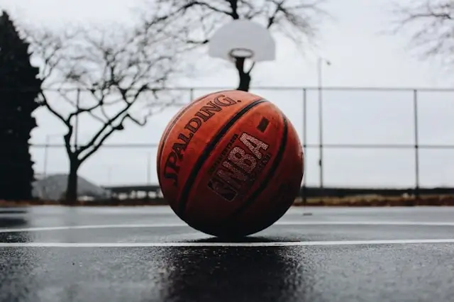 Spalding basketball resting on wet outdoor court with hoop and bare trees in background