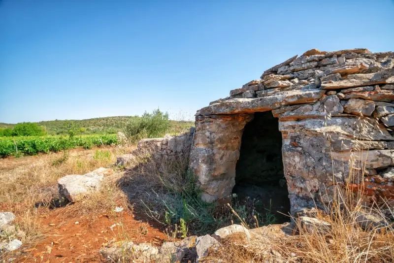 Ancient stone shelter on UNESCO-protected Stari Grad Plain in Hvar with vineyards and olive groves in background