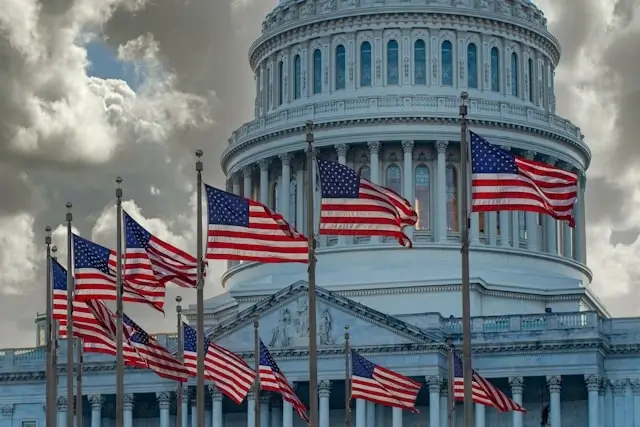 US Capitol building with American flags representing federal immigration policy and asylum law enforcement