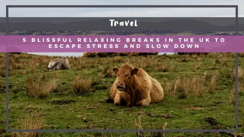 5 Blissful Relaxing Breaks in the UK to Escape Stress and Slow Down
