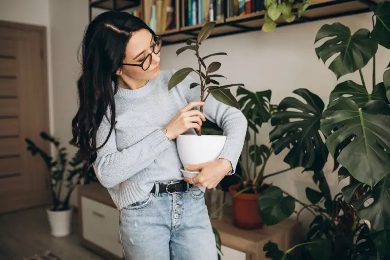 Woman holding potted plant in living room surrounded by low maintenance house plants for travelers