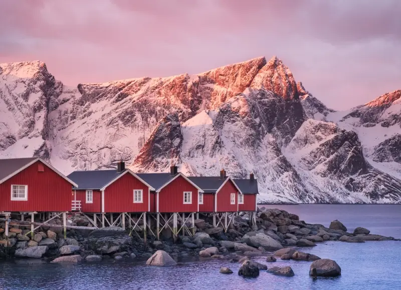 Red fishing cabins on stilts above rocky shoreline with dramatic snow-covered mountain peaks glowing pink at sunset in Lofoten Islands bay