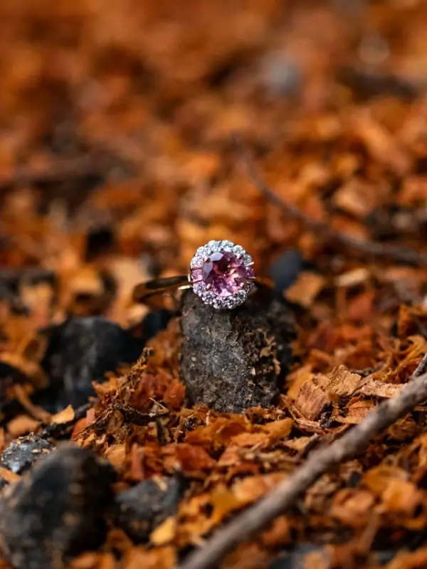 Round pink sapphire engagement ring with diamond halo setting displayed on rustic wood bark and autumn leaves