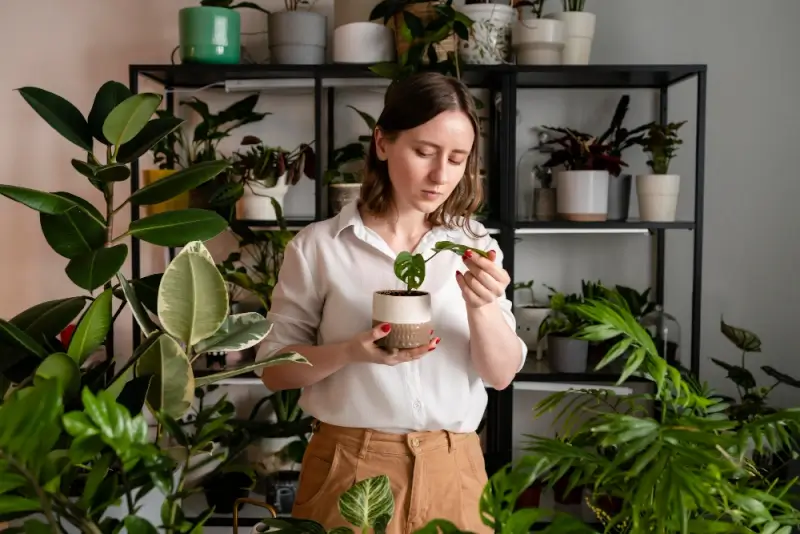 Woman tending to small potted plant in home surrounded by shelves of greenery and ceramic planters