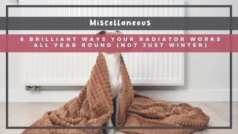6 Brilliant Ways Your Radiator Works All Year Round (Not Just Winter)