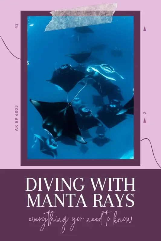 Manta Scuba Diving Guide: Essential Insights for Ethical Encounters - The BeauTraveler
