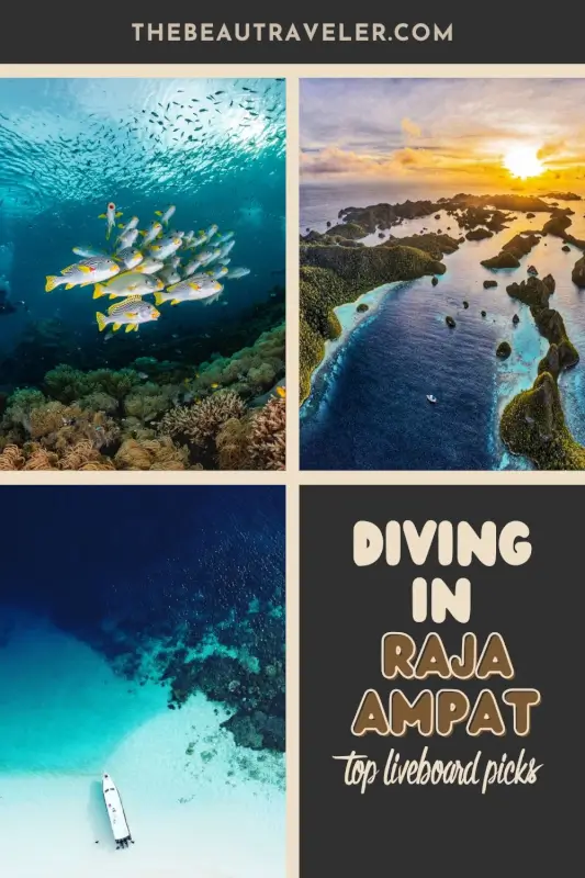 Top 5 Liveaboards For Raja Ampat Dives In Indonesia - The BeauTraveler