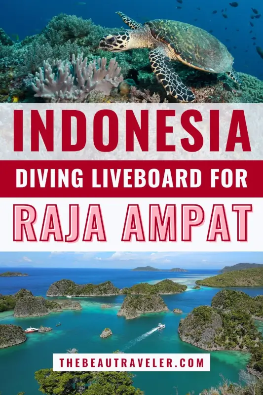 Top 5 Liveaboards For Raja Ampat Dives In Indonesia - The BeauTraveler