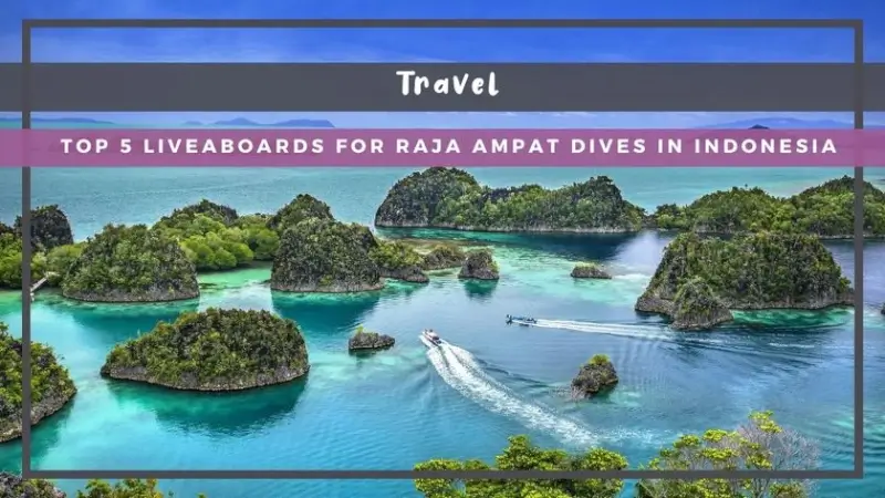 Top 5 Liveaboards For Raja Ampat Dives In Indonesia