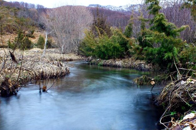 Arkansas River flowing through canyon landscape in spring with clear water ideal for trout fishing near glamping sites