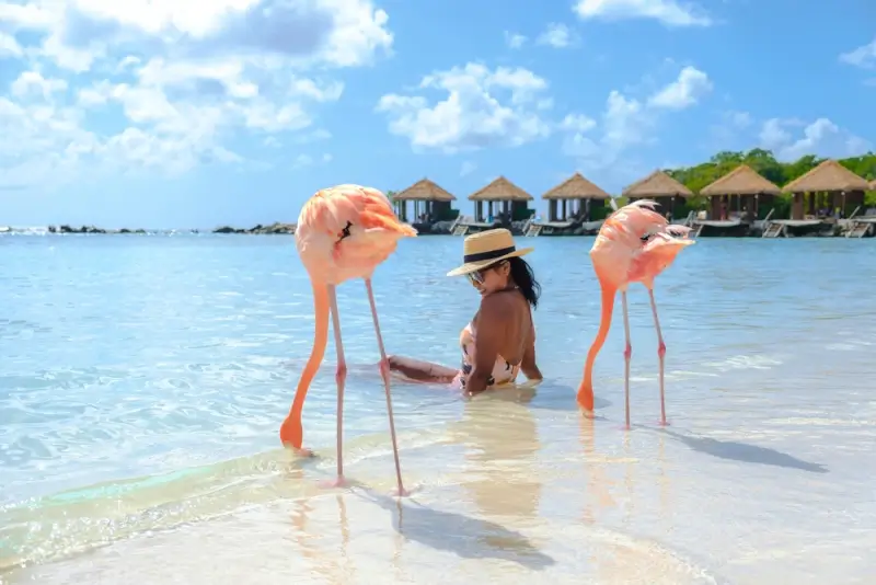 Woman relaxing with pink flamingos in shallow turquoise water at Renaissance Island beach