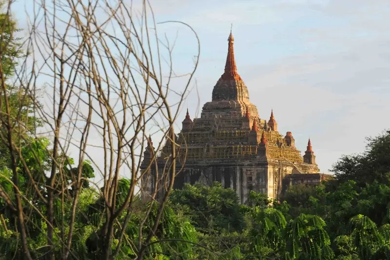 Thatbyinyu Temple rising above the lush greenery in the ancient city of Bagan, Myanmar