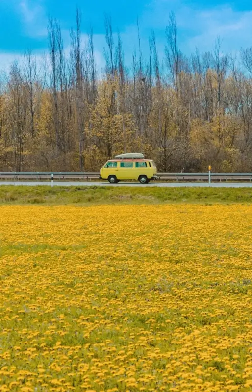 A vintage yellow campervan parked by a vast field of dandelions in bloom, perfect for a scenic springtime road adventure