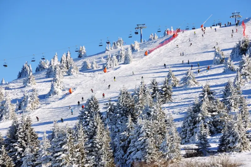 Kopaonik snowboarding resorts in the Balkans with tree-lined slopes and chairlifts in Serbia