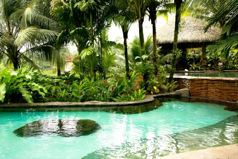 Natural hot springs pool surrounded by palm trees and tropical gardens at luxury spa resort in Costa Rica
