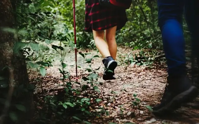 Two people walking through a forest path wearing sturdy shoes and carrying a hiking pole