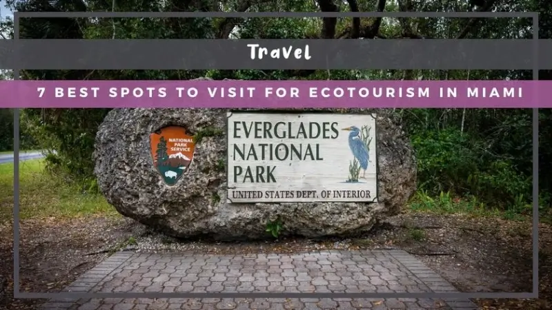 7 Best Spots to Visit for Ecotourism in Miami, FL
