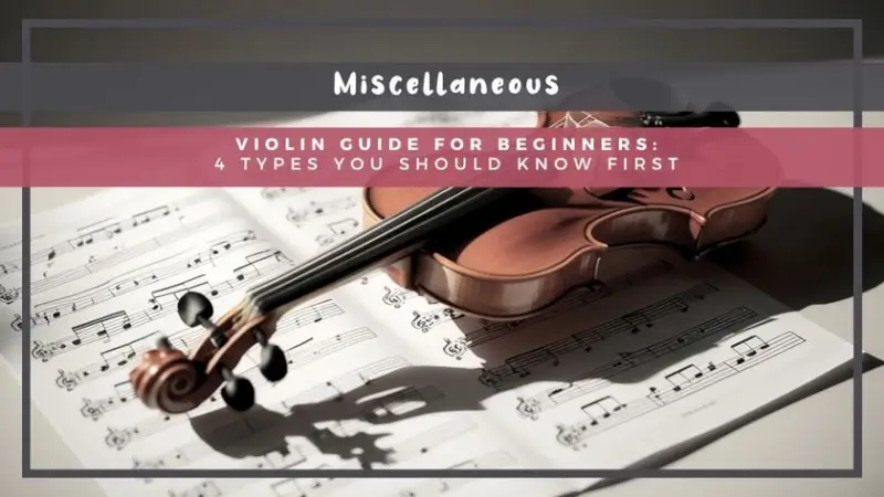Violin Guide for Beginners: 4 Types You Should Know First