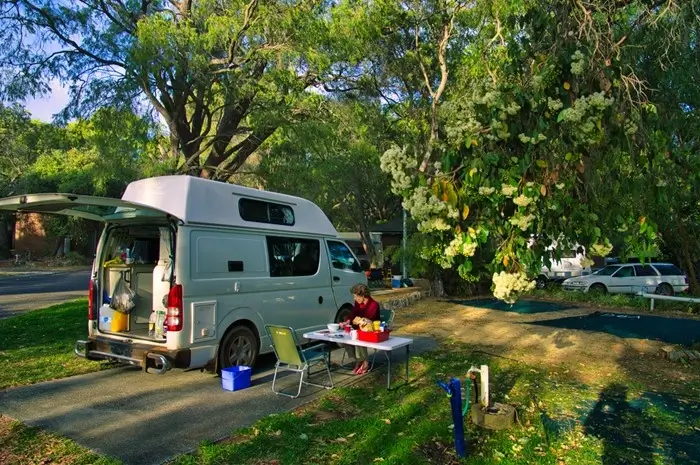traveler preparing a meal at a campsite beside a parked campervan under tall eucalyptus trees in Tasmania
