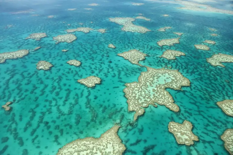 aerial view of the great barrier reef for family travel showing vibrant coral formations and turquoise waters in Queensland Australia