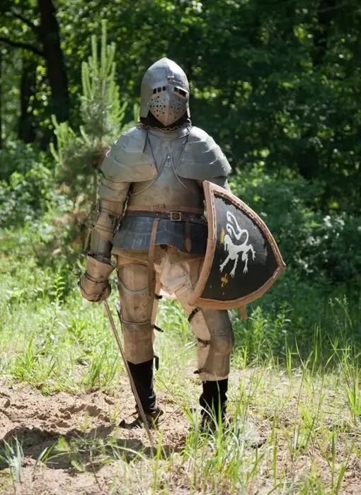 A fighter in full medieval armor holding a sword and heraldic shield outdoors