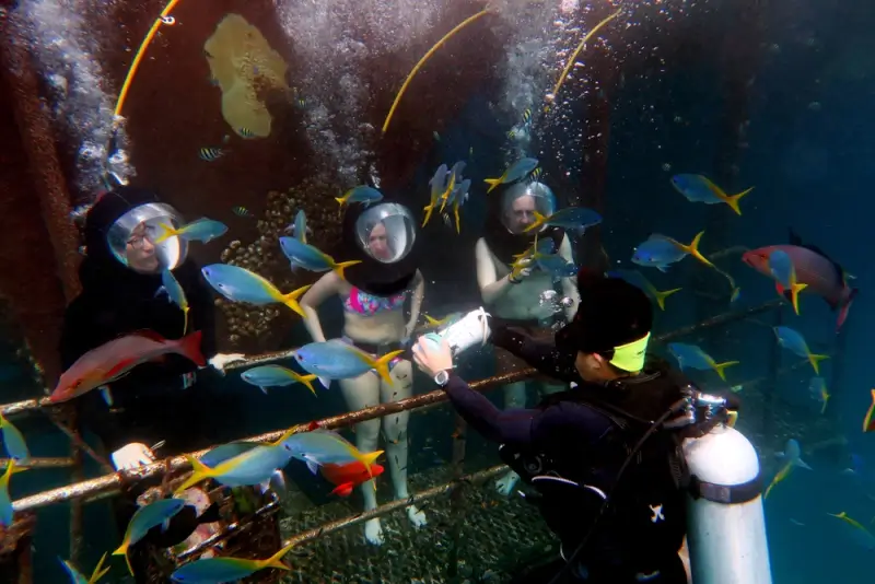 group of tourists wearing helmet diving gear underwater surrounded by colorful tropical fish guided by a scuba instructor