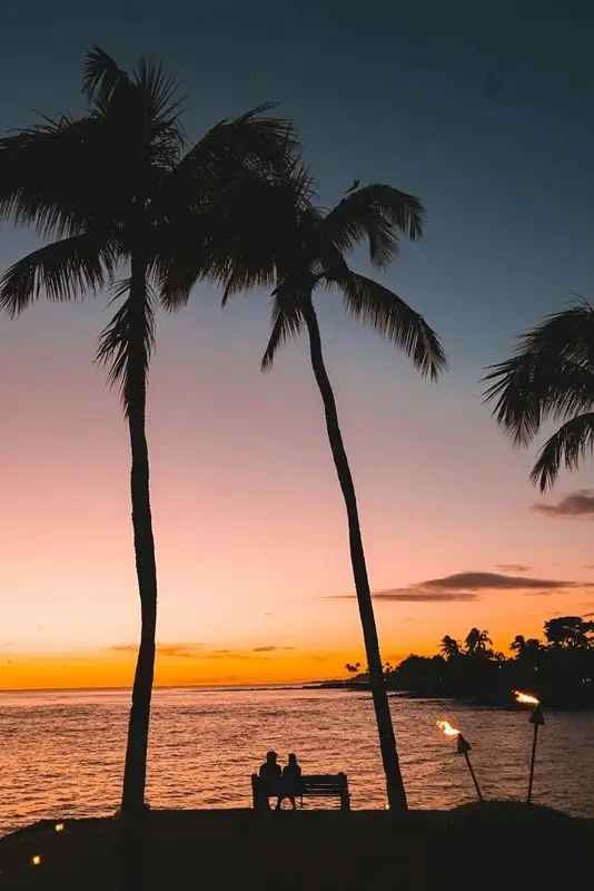 silhouette of a couple sitting on a bench at sunset under palm trees in Maui for couples