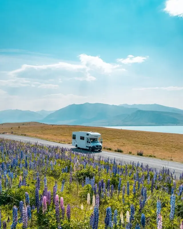 white RV driving along a scenic road lined with lupins near Lake Tekapo in New Zealand