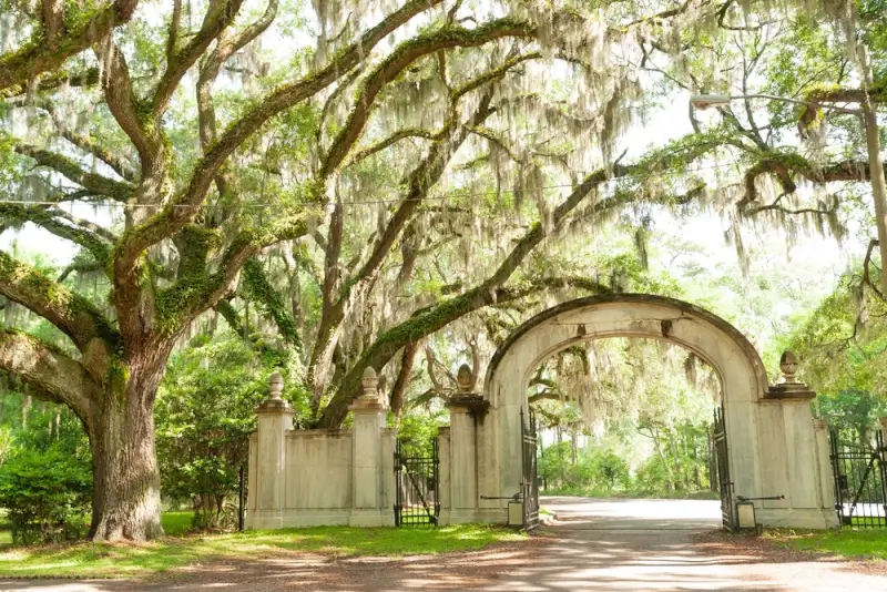The historic stone gate entrance at Wormsloe in Savannah, Georgia, framed by sprawling live oak trees draped in Spanish moss