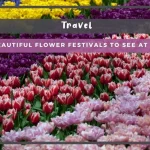 10 Most Beautiful Flower Festivals to See at Least Once 10 Most Beautiful Flower Festivals to See at Least Once