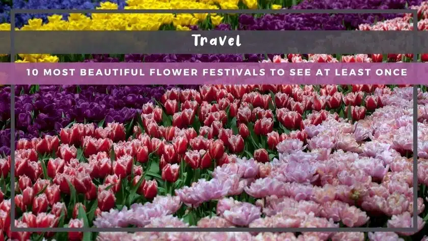 10 Most Beautiful Flower Festivals to See at Least Once