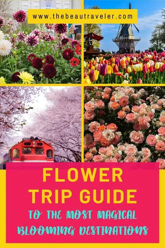 10 Most Beautiful Flower Festivals to See at Least Once - The BeauTraveler