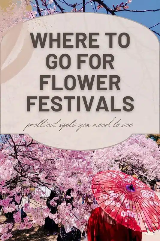 10 Most Beautiful Flower Festivals to See at Least Once - The BeauTraveler