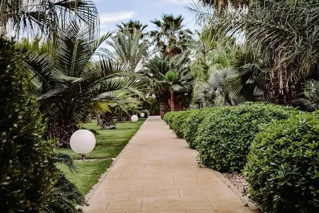 Lush garden pathway lined with palm trees and globe lights at SHA Wellness Clinic in Alicante, Spain