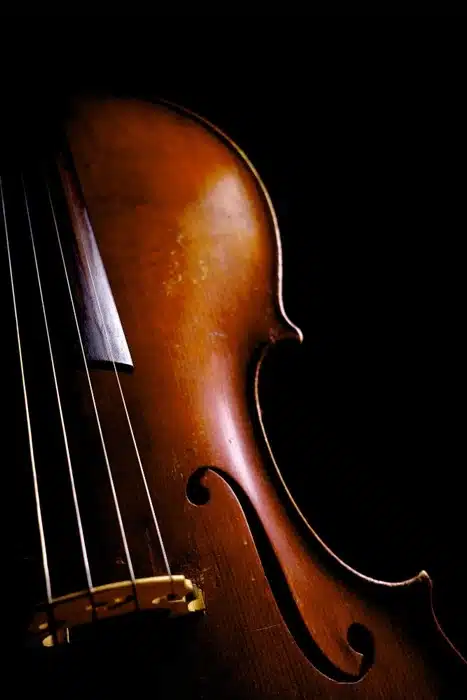 close-up of a cello body and strings against a dark background
