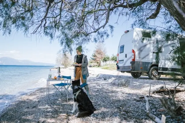 person eating a meal outdoors by the water next to a campervan with a dog nearby