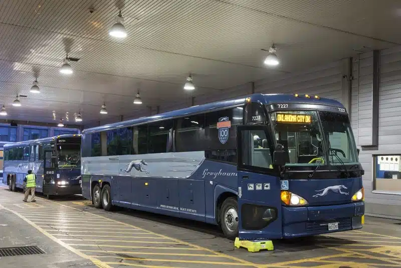 Greyhound buses lined up at the Dallas terminal with an Oklahoma City destination displayed
