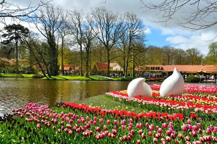 Colorful rows of pink, red, and white tulips alongside white sculptures and a lake at Keukenhof Park in Lisse, Netherlands
