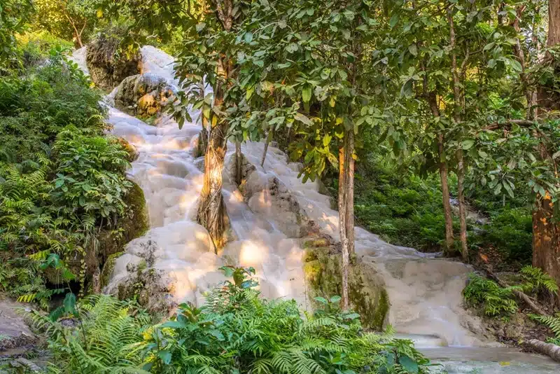 White limestone cascades of Namtok Bua Tong sticky waterfall flowing through lush tropical forest in Chiang Mai